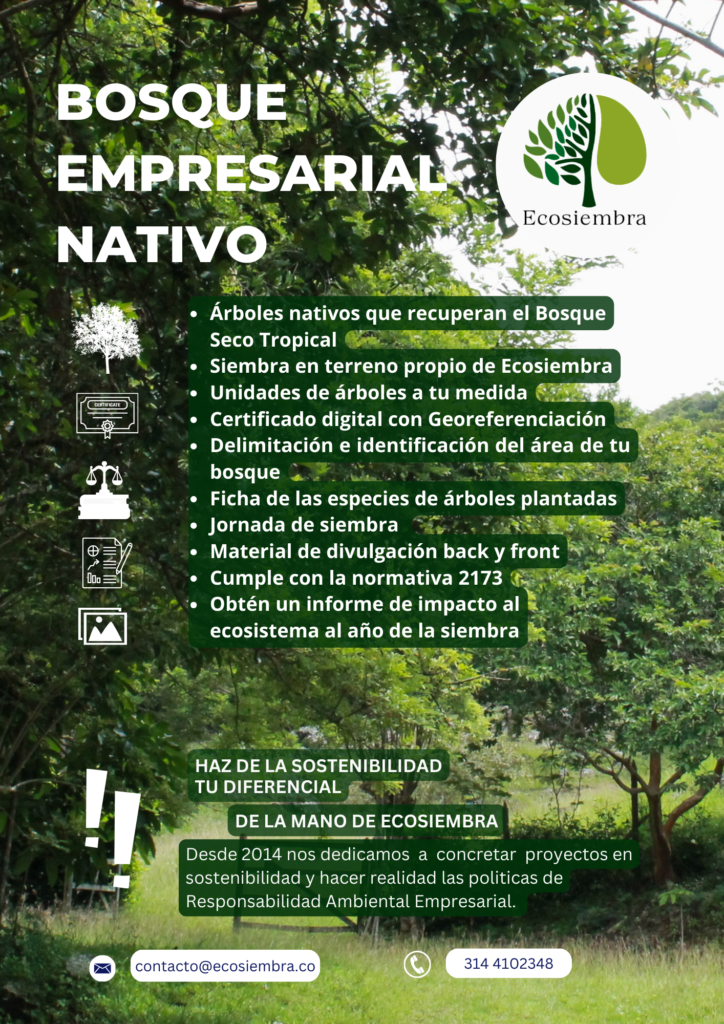 ecosiembra Flyer de productos y servicios 2024
